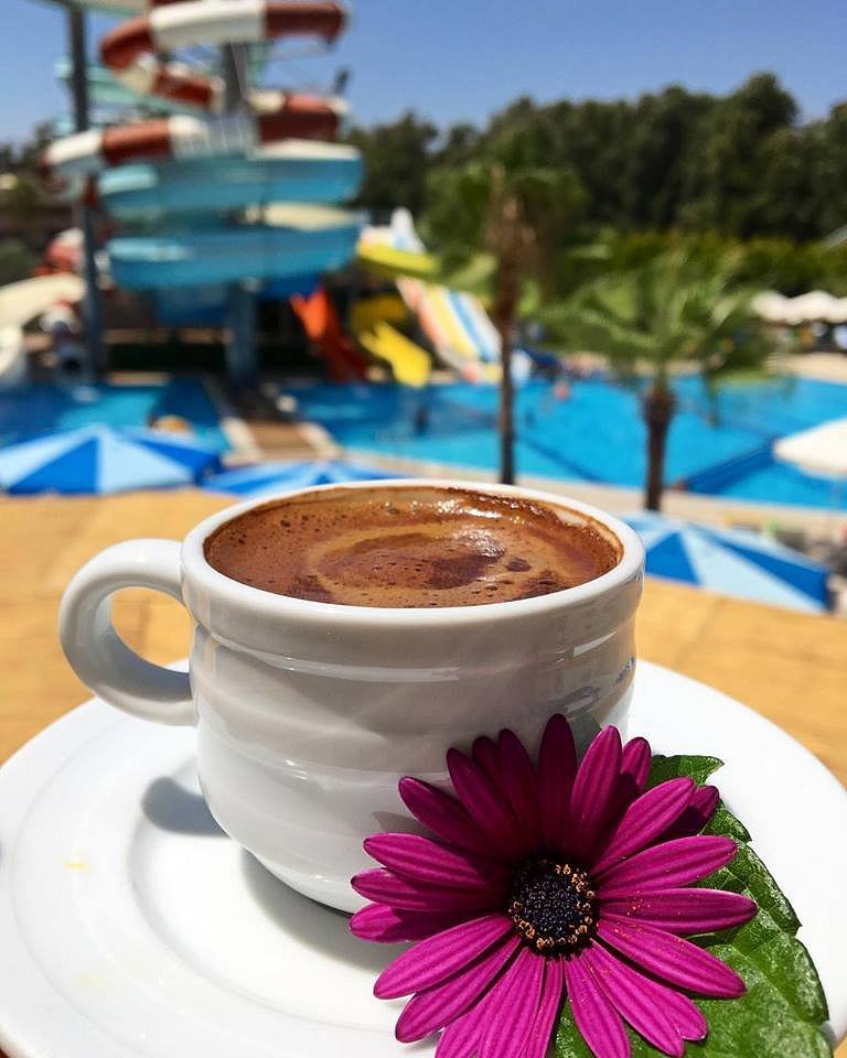 Bera Alanya Hotel havuz alanı